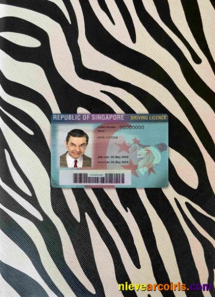 Singapore driving license photolook